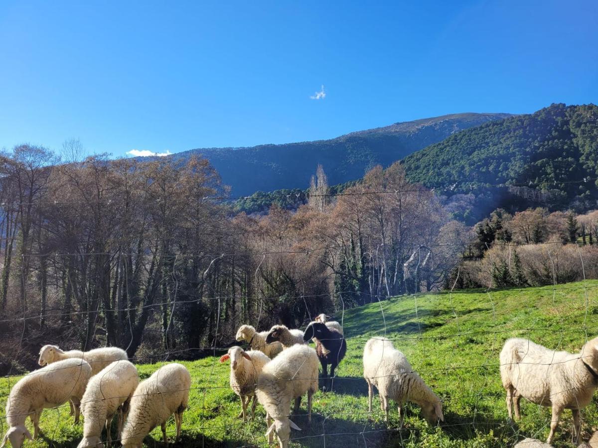 El Atico De Mijares旅馆 外观 照片